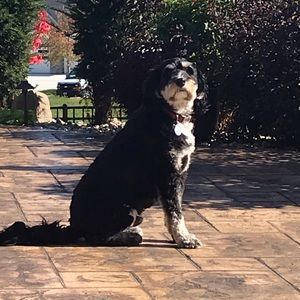 Meet your Posher, Tarci